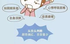 Understanding Phlegm-Dampness Constitution in Traditional Chinese Medicine
