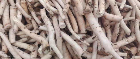 The Rising Price of Bai Shao (White Peony Root)