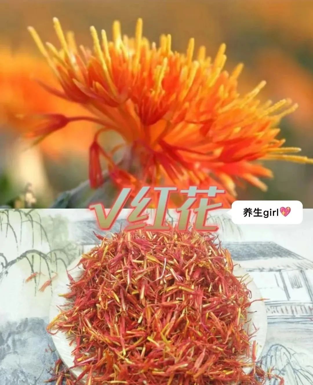 The Benefits of Safflower: Foot Soaks, Wine Infusions, and Treatment for Injuries and Cardiovascular Diseases