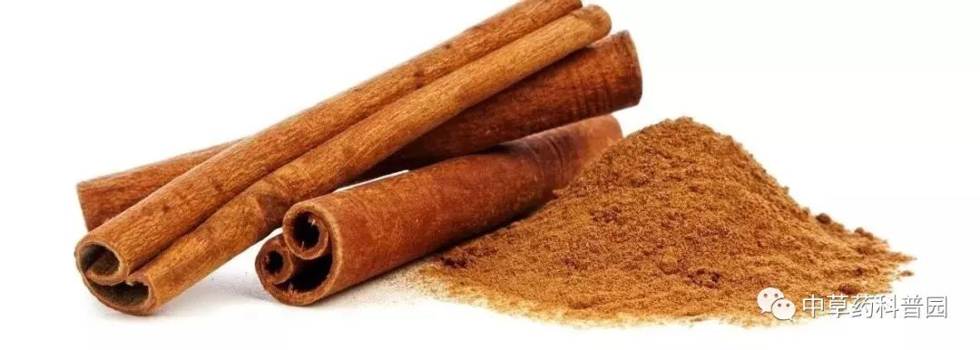 Cinnamon: A Comprehensive Guide