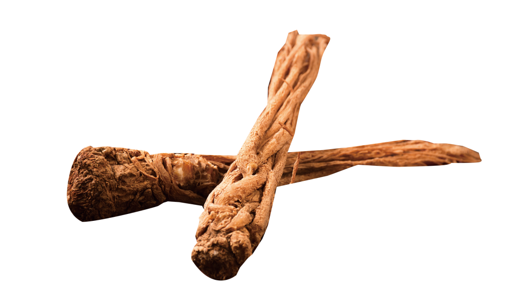 Nourishing the Body: The Different Effects of Danggui (Angelica Sinensis) for Blood Deficiency and Constipation