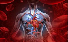 What is Blood Stasis Syndrome? Symptoms and Risks