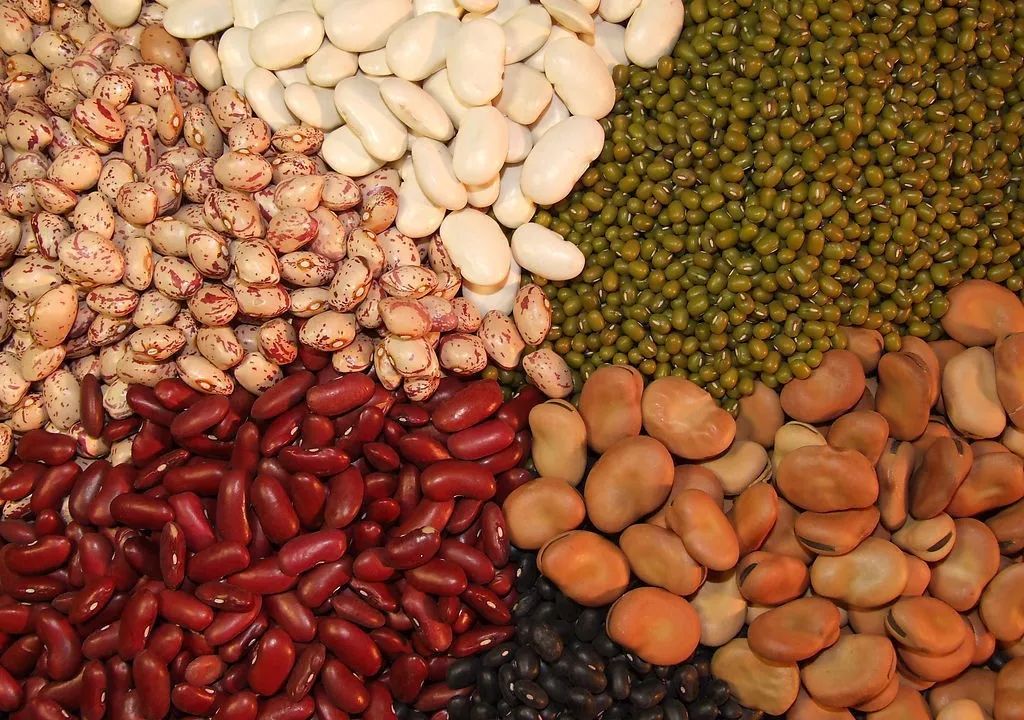 "The Five Grains Nourish the Five Organs": Eating the Five Grains for Optimal Health!
