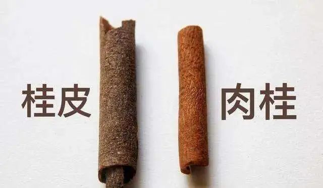 The Efficacy and Functions of Cinnamon in Traditional Chinese Medicine