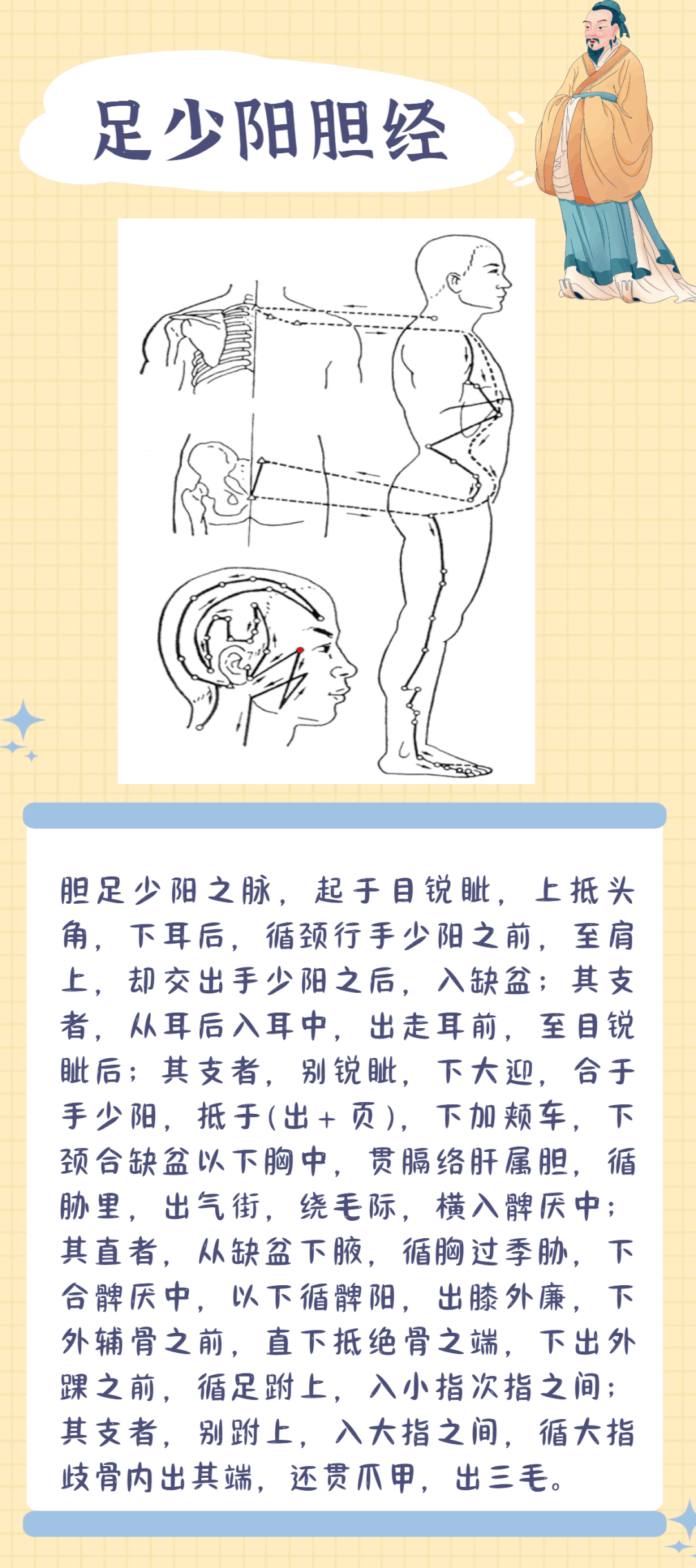Illustration of the Twelve Meridians: A Worthy Focus