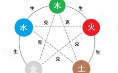Philosophical Reflections on the Theory of Five Elements: Exploring the Philosophical Ideas and Concepts within the Five Elements Theory, such as Mutual Generation and Mutual Restraint, and the Balance of the Five Elements.