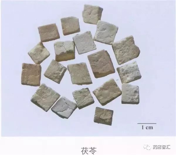 Fuling (Poria) - A Comprehensive Overview