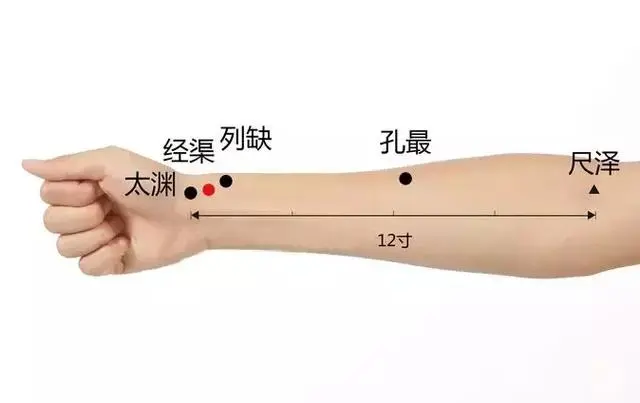 57 Practical Acupuncture Points Everyone Can Use