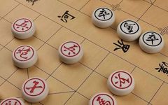 Understanding the Roles of Our Organs in Traditional Chinese Medicine
