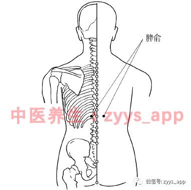 Eight Effective Methods to Improve Spleen and Stomach Yang Deficiency (Practical)