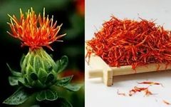 Hong Hua (Safflower) - A Comprehensive Overview