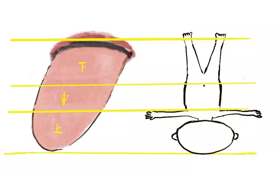 What is Tongue Coating?