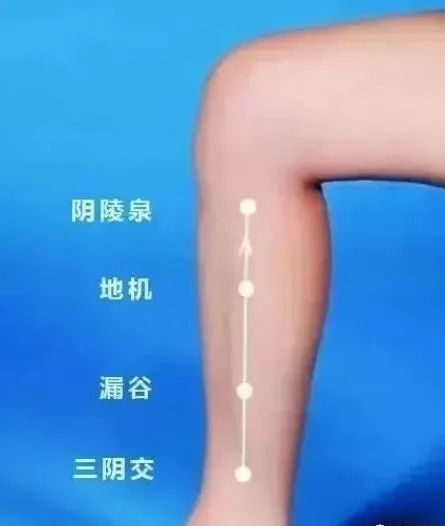 Gua Sha Therapy: A Line to Harmonize the Liver, Spleen, and Kidney! Many Discomforts Disappear Quietly!
