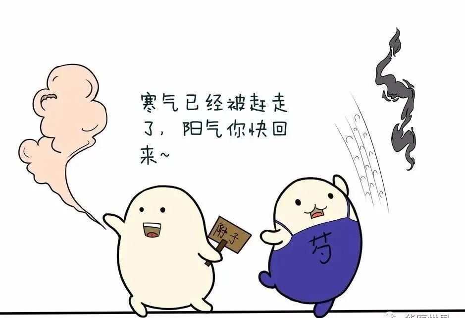 Flexible Applications of Bai Shao in Clinical Practice