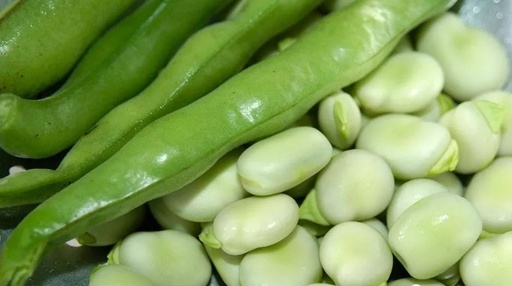Health Benefits of Various Beans in Traditional Chinese Medicine (Part 2)