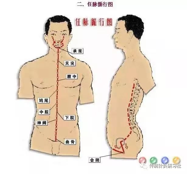 Diagram of the Eight Extraordinary Meridians in Traditional Chinese Medicine