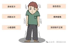 What Are the Differences Between Bu Yang, Tong Yang, and Wen Yang? Which Groups Are Suitable for Each?