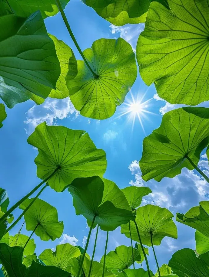 15 Health Tips for Daily Wellness: Learn a Little Each Day for Better Health