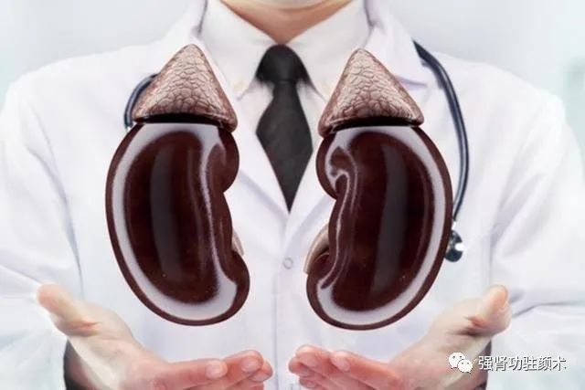 What Are the Symptoms of Kidney Yang Deficiency? Here Are 4 Methods for Regulation That Show Results