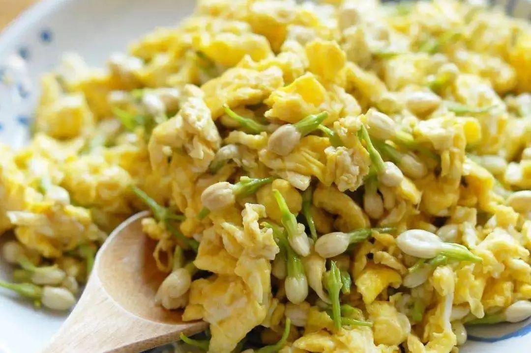 Honeysuckle: A Comprehensive Overview