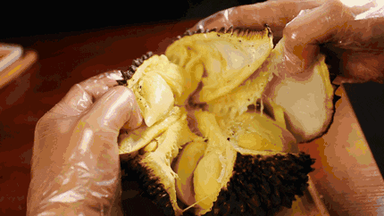 Understanding Hot and Cold Foods in TCM: A Comprehensive Guide