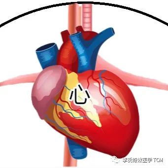 Tongue Diagnosis and the Five Organs Series Collection