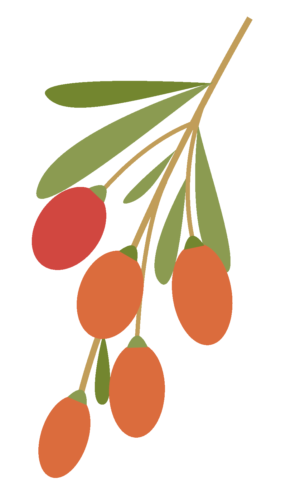 Ten Combinations of Fu Zi (Aconite) in Traditional Chinese Medicine