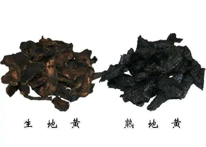 The Distinct Effects of Raw and Cooked Rehmannia