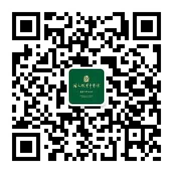 Understanding Daoyin: The Art of Guiding and Stretching in Traditional Chinese Medicine