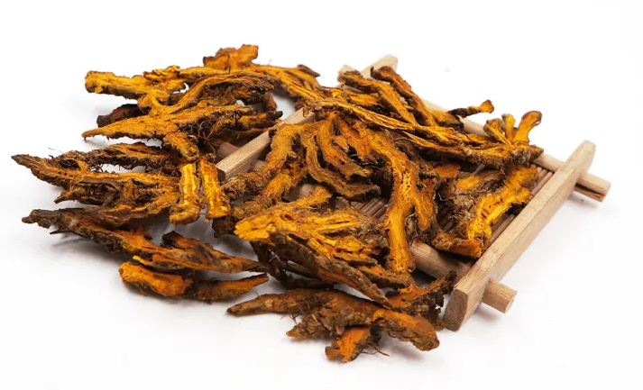 Huang Lian: A Bitter and Cold Herb with Remarkable Medicinal Value