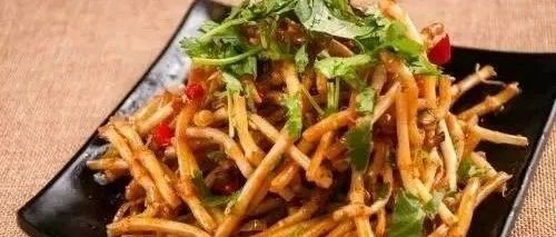 In Spring, This Wild Herb is Everywhere: A Natural Anti-Inflammatory and Delicious Addition to Your Meals
