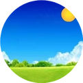 Experience in Treating Damp-Heat Syndrome in Traditional Chinese Medicine