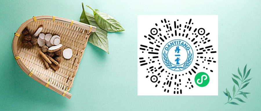 The Efficacy and Usage of Chuanxiong (Ligusticum chuanxiong)