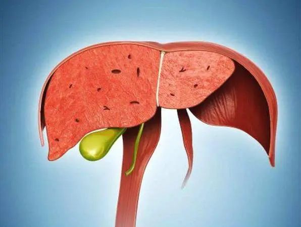 Moxibustion to Prevent the Three Evils: Achieve Clarity and Vitality with These Practices