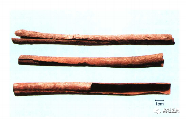 Cinnamon Bark (Rougui) - A Comprehensive Overview
