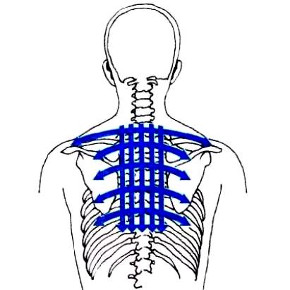 Special Gua Sha Techniques (The Essence of Gua Sha)
