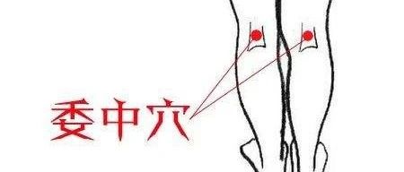 Clinical Palpation Diagnosis and Applications | Qingmu Traditional Chinese Medicine