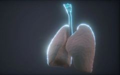 The 'Golden Decoction' for Treating Lung Cancer: Inhibiting Lung Tumor Growth with Efficacy Comparable to Chemotherapy