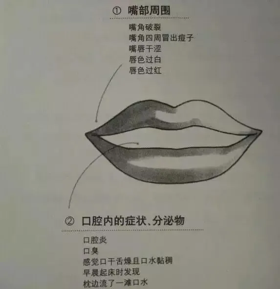 Essential Guide to TCM Observation Diagnosis