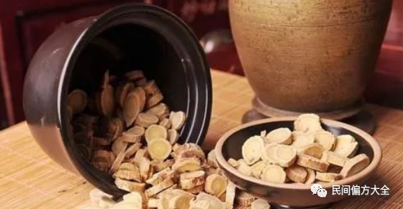 Astragalus: The First Choice for Qi Supplementation - Benefits and Precautions of Drinking Astragalus Water