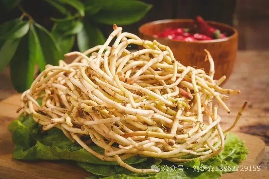 In Spring, This Wild Herb is Everywhere: A Natural Anti-Inflammatory and Delicious Addition to Your Meals
