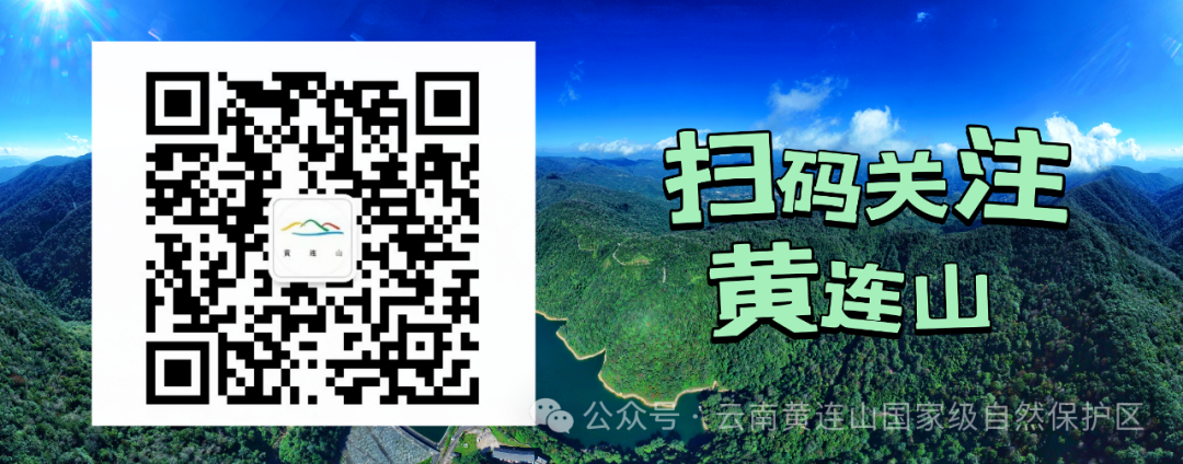 Yunnan Huanglian Mountain: Sowing Hope on Arbor Day