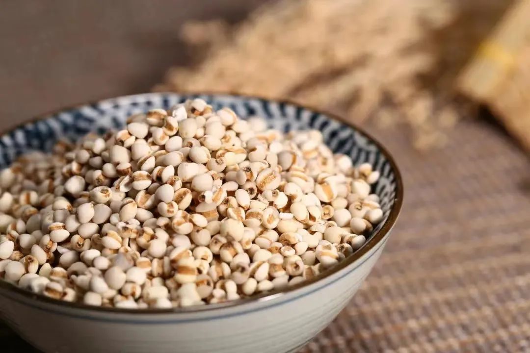 Traditional Chinese Medicine Health Preservation - Coix Seed