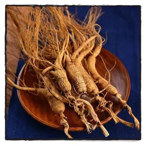 Ginseng: A Comprehensive Overview in Traditional Chinese Medicine