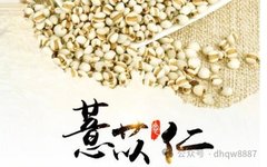 The Efficacy of Coix Seed (Yi Yi Ren): Strengthening the Spleen and Stomach, Skin Whitening, and Dispelling Wind-Dampness