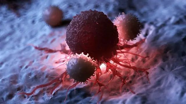 Key Principles of TCM in Tumor Treatment: Nourishing Without Supporting Evil, Attacking Without Harming the Vital, Combining Attack and Nourishment