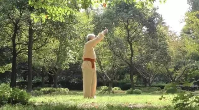 Simple and Easy to Learn! Illustrated Guide to the Twelve Movements of the Ancient Yi Jin Jing (Includes Video)