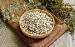 Understanding Coix Seed (Yi Yi Ren) in Traditional Chinese Medicine