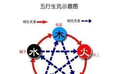 The Five Elements: Metal, Wood, Water, Fire, Earth (Reference Table)