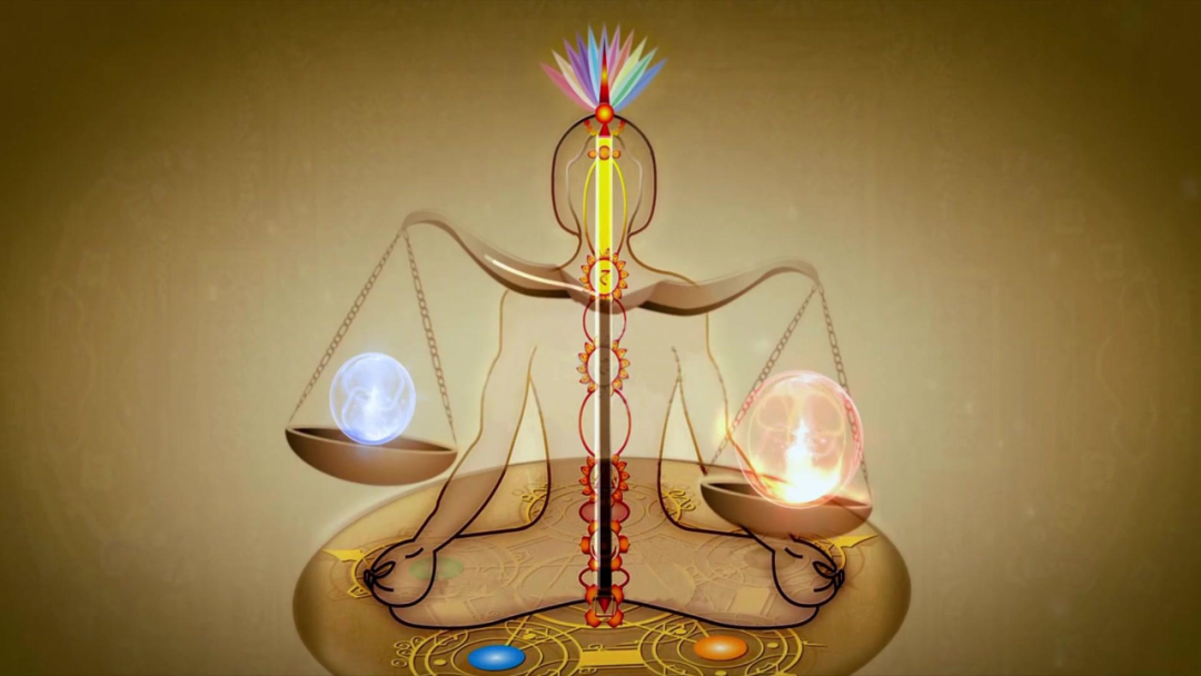 To Live Long, Rely on Balancing Yin and Yang; Adjusting Yin and Yang Can Alleviate All Illnesses!